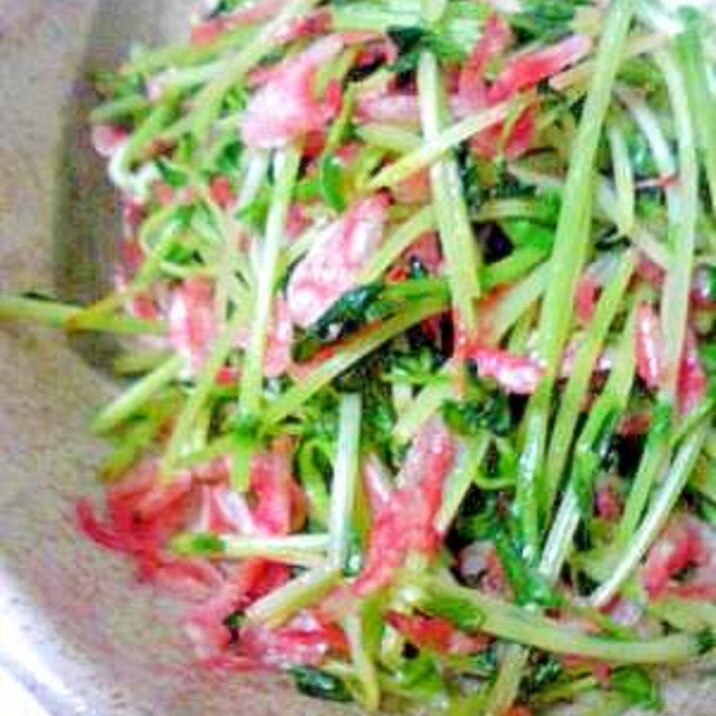 ささっと簡単 豆苗と桜海老のシャキシャキ炒め レシピ 作り方 By Kaz Max 楽天レシピ ささっと簡単 豆苗と桜海老のシャキシャキ炒め レシピ 作り方 By Kaz Max 楽天レシピ